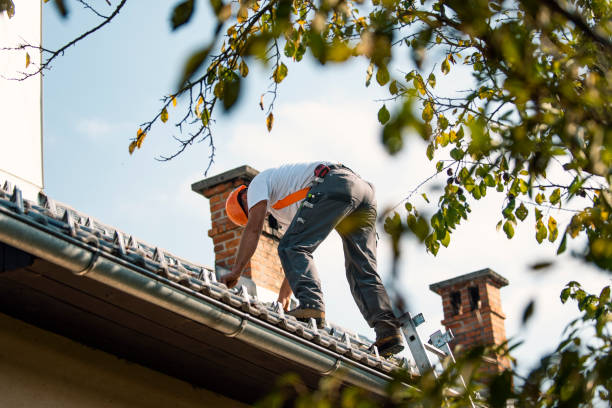 Roof Insulation Installation in Hartsville, SC